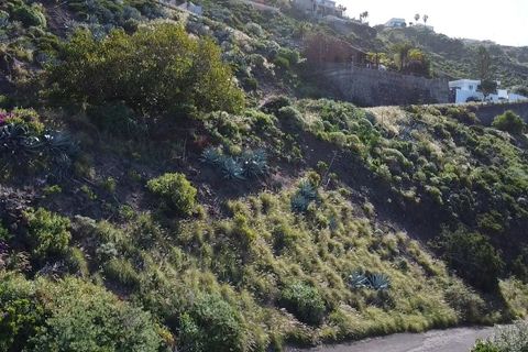 Tomt i Prixmar, Tenerife, Prixmar - € 350 000 | Ref: SNSTP - foto 6